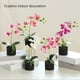 thumbnail image 4 of Decoración de plantas artificiales Bewildely Tipo 2, 4 of 6