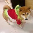 thumbnail image 2 of Ropa Perro Navidad Gato Atuendo Sudadera Con Capucha para Pequeños Gatos, 2 of 8