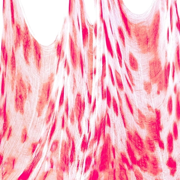 Halloween Blood Creepy Cloth（315 x 79 in） Scary Gauze Cloth Spooky Halloween Decorations Decor Outdoor Yard Home Wall Haunted House Doorways Patio Garden