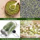 thumbnail image 2 of Tapas De Tarros De Germinación Malla De Malla De Acero Inoxidable Tapa De Lata De Germinación De Semillas Tapas De Colador De Tarros De Germinación Lavables Portátiles De Boca Ancha Para Cultivar Brot Muyoka Hogar, 2 of 7