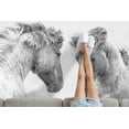 thumbnail image 5 of Two Horses Rug Car Mat Rugs, Pattern Rug, Trendy Rug, Animal Rug, Non Slip Rug, Two Horses Rug, Saloon Rug, Home Decor Rug, Black White Rug, 2'x3' - 60x90 cm, 5 of 8