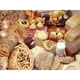 thumbnail image 1 of Pintura de diamante (DE1904) Pan Leche 5D DIY Cuadrado Manual Mosaico (DM154) 50x70cm Hugtrwg Para estrenar, 1 of 1
