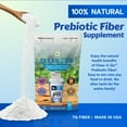 thumbnail image 4 of Nutritional Designs Clear 2 Go Prebiotic Inulin Fiber Supplement - All Natural Sugar & Gluten Free Dietary Fiber - Bowel Regularity & Digestive Health for Men & Women (Easy Powder), 4 of 6