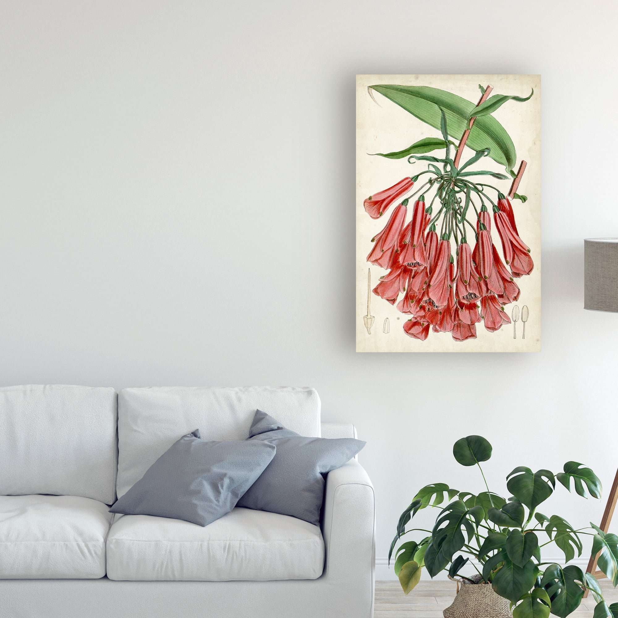 Trademark Fine Art 'Tropical Gems II' Canvas Art by Curtis
