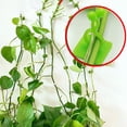 thumbnail image 4 of Fairnull 10Pcs/Set Saving Space Plant Clip Drill Free Flexible Climbing Wall Green Plant Fixer Vine Hook for Garden, 4 of 8