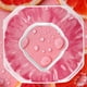 thumbnail image 4 of Vainas Perfumadas Vaina De Sabor Termos para agua Air To Up Pods 0 Sugar Flavors Fruit Taste Pods para (pomelo), 4 of 5