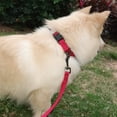 Armadurra TUFF Collar Dog Fence Receiver TUFF Collar Dog Fence Receiver