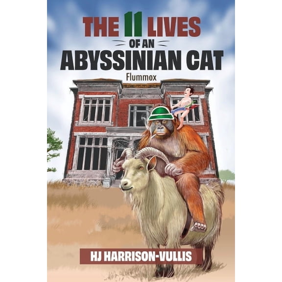 The 11 Lives of an Abyssinian Cat: Flummox, (Paperback)