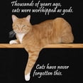 thumbnail image 3 of CafePress - Orange Cat Ginger Kitty Sweatshirt (Dark) - Classic Crew Neck Sweatshirt, 3 of 4