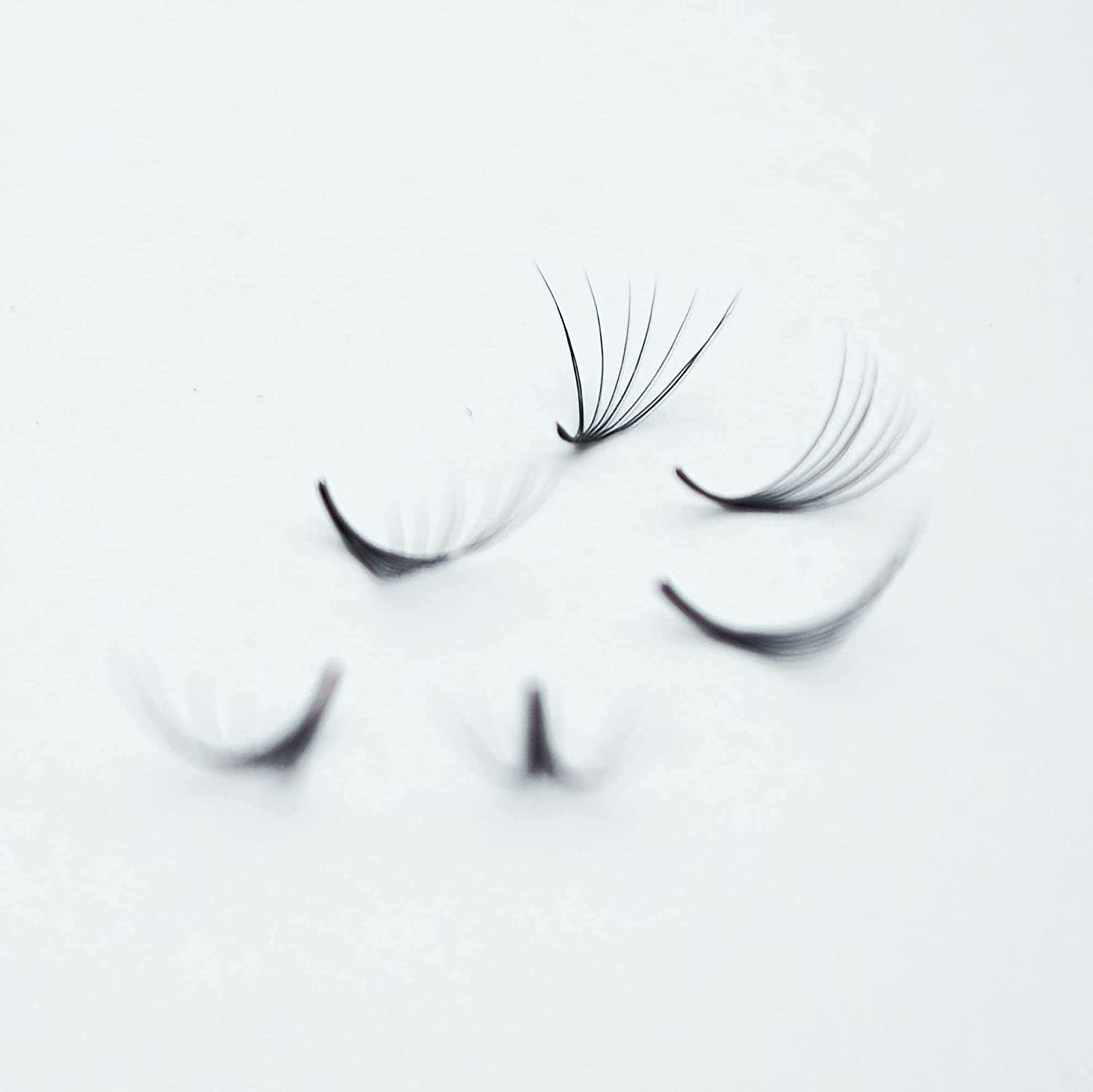 8D Lashes, 1000 Premade Volume Fans, 0.07mm Thickness, Eyelash Extensions, Handmade!