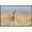 Barnwood Framed Version, variant on The Comedy Wildlife Photography Awards: Anup Deodhar - Rockstar Wall Poster, 14.725" x 22.375"