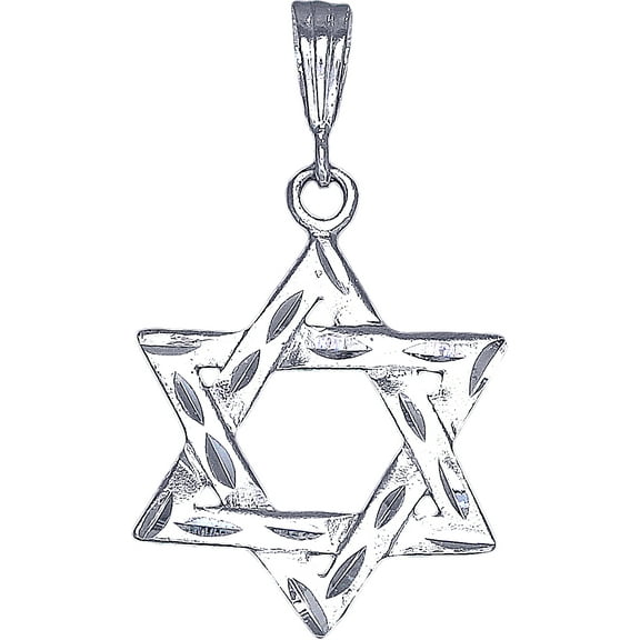 Sterling Silver Star of David Pendant Necklace with Diamond Cut Finish and 24 Inch Figaro Chain