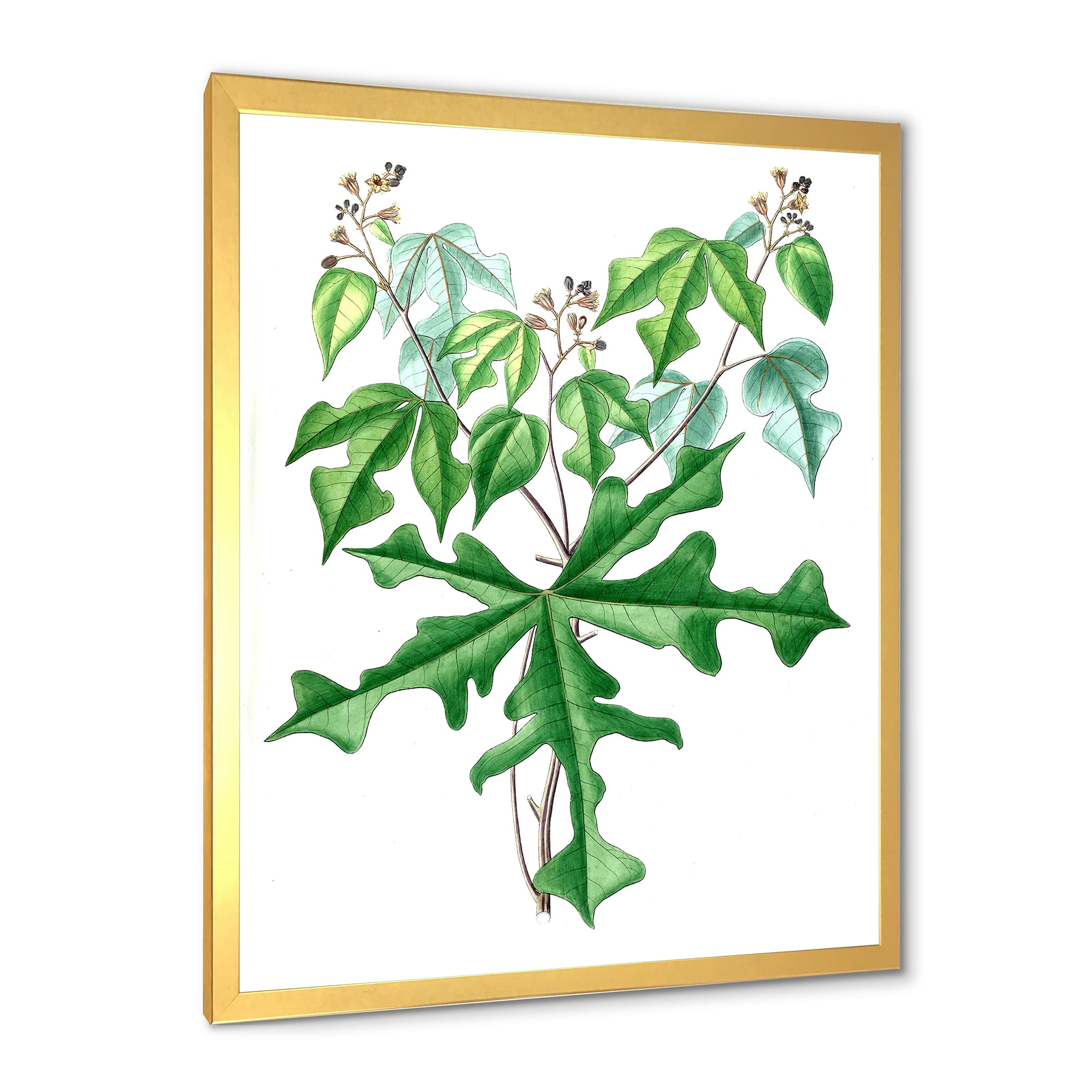Designart 'Ancient Drawing of Wild Plants' Traditional Framed Art Print