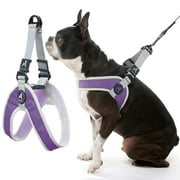 Gooby Simple Step in III Harness - Purple, X-Small - No Pull Small Dog Harness with Scratch Resistant Outer and Soft Inner Mesh Vest