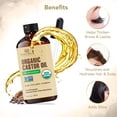 thumbnail image 3 of Vidrio orgánico prensado en frío con aceite de ricino Botanic Hearth, 60 ml, 3 of 7