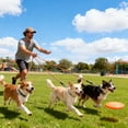 thumbnail image 6 of 3 Dog Leash No Tangle,2 Dog Leash No Tangle,Multi Dog Leash,Reflective Dog Leash Free Multi Pet Walking Ropewith Detachable, 6 of 9