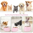 thumbnail image 6 of Meottam Tilted Dog Cat Bowl, 15° Slanted Stainless Steel Dog Cat Food Bowl, Non-Slip & Non-Spill Pet Feeder with Elevated Detachable Stand, Easy to Get Food Dish, S/0.5 Cup (Pink), 6 of 6