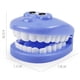 thumbnail image 3 of Juego De 9 Uds. De Dentistas Para Niños, Juguetes Para Juego De Imitación, Modelo De Juego De Rol Para Médicos, Juguetes Educativos Para Niños Y Niñas Scienceny FN007141-02, 3 of 6