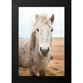 thumbnail image 2 of Marshall, Laura 13x18 Black Modern Framed Museum Art Print Titled - Heida I, 2 of 5