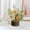 C, variant on Crochet Flowers Cute Potted Flower,Mini Flower Bouquet for Mom Wife, Cute Desk Decor for Women,Artificial Handmade Flowers for Car Dashboard,Home Office Decoration