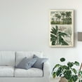 thumbnail image 3 of Trademark Fine Art 'Journal of the Tropics I' Canvas Art by Vision Studio, 3 of 4