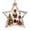 Clear2, variant on Glowing Star Christmas Story Ornaments 2D Acrylic Warm LED Festive Hanging Christmas Ornament for Christmas Tree Window Door (3.15 Inch)