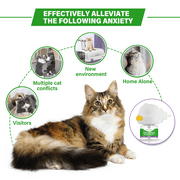 Cat Pheromones Calming Diffuser, Effective Cat Anxiety Diffuser, Professional Stress Relief for Pet Anxiety