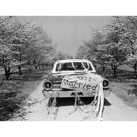1960s Rear Of Car With Just Married Sign And Streamers Driving Along Road Of Flowering Trees Print By Vintage