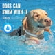 thumbnail image 2 of Soporte de collar de perro impermeable para Apple Airtags, paquete de 2, 2 of 8