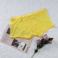 thumbnail image 6 of Men Mesh Boxer Briefs Thin Low Waist Transparent Underwear Pouch Panties, 6 of 9