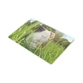 thumbnail image 2 of MKHERT Guinea Pig Dutch Rats Doormat Rug Home Decor Floor Mat Bath Mat 30x18 inch, 2 of 3