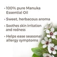 thumbnail image 2 of Plant Therapy Manuka Essential Oil 30 mL (1 oz) 100% Pure, Undiluted, Therapeutic Grade, 2 of 7