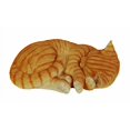 thumbnail image 2 of Vivid Arts Ginger Size B Real Life Sleeping Cat, 2 of 4
