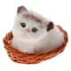 thumbnail image 2 of Juegos de Realistas Gato con Marco Verdadero Piel Animal Pasatiempos Juegos para y Jóvenes Hugo Gato realista, 2 of 9