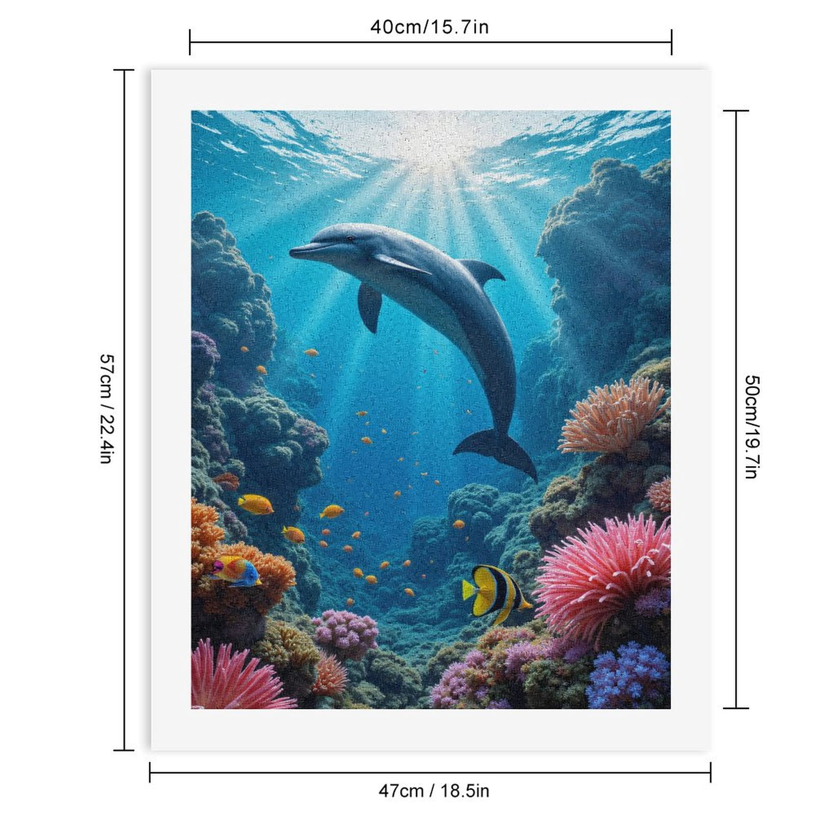 Paint by Numbers Kit for Adults, Ocean Dolphin Coral Reef Scene Paint by Numbers, Easy Paint by Numbers Kit for Adults Beginner, DIY Adult Paint by Number Kits on Canvas, Home Decor