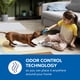 thumbnail image 5 of Almohadillas para perros Scott, tamaño grande, 56 x 56 cm, 50 unidades, absorbentes, 5 of 7