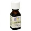 Aura Cacia Organic Clove Bud Essential Oil 0.25 oz Oil