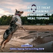NutriBites Freeze-Dried Whitefish Dog & Cat Treats, 9oz | Healthy Pet Training Treat or Food Topper | High Protein & All Natural