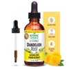Botanic Choice Dandelion Root Extract Liquid, Historic Herbal Liver Support Supplement, Cleanse Toxins, Aid Digestion-1 Fl Oz