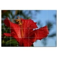 thumbnail image 1 of Flowers Pdphotoh Ceramic Tile Mural Kitchen Backsplash Bathroom Shower, 405053-M, 1 of 3