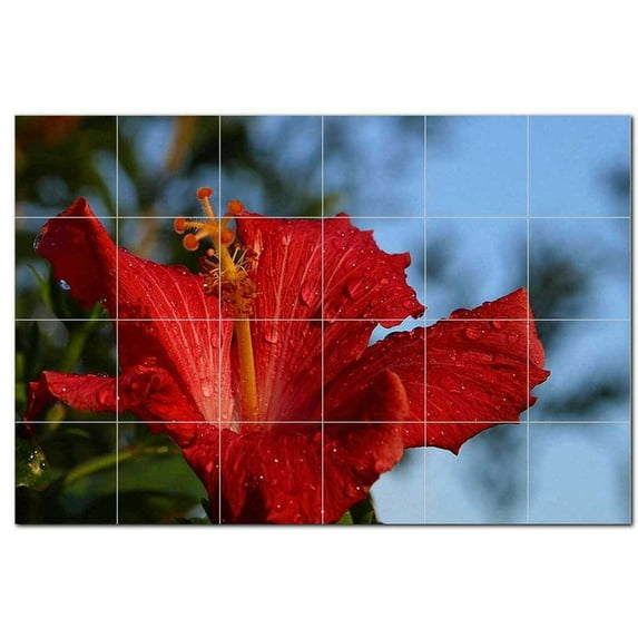 Flowers Pdphotoh Ceramic Tile Mural Kitchen Backsplash Bathroom Shower, 405053-M