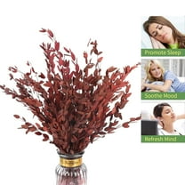 Tutuviw Dried Eucalyptus Leaves Preserved Greenery Stems,Eucalyptus Garland Branches,Natural Eucalyptus for Shower,Red Leaves Plant Bundle for Wedding Wreath Party Decor Vase Filler