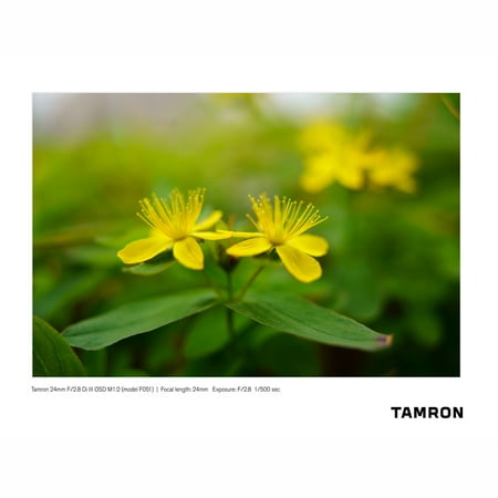 Tamron - 24mm F/2.8 Di III OSD M1:2 Wide Angle Lens for Sony E-Mount