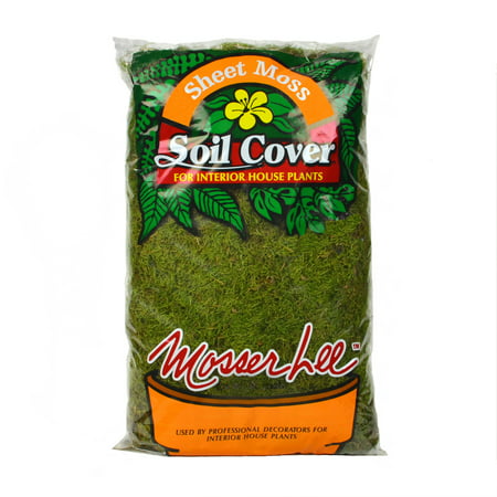 Mosser Lee ML0470 Sheet Moss Soil Cover, 675 sq. (Best Soil For Moss Terrarium)