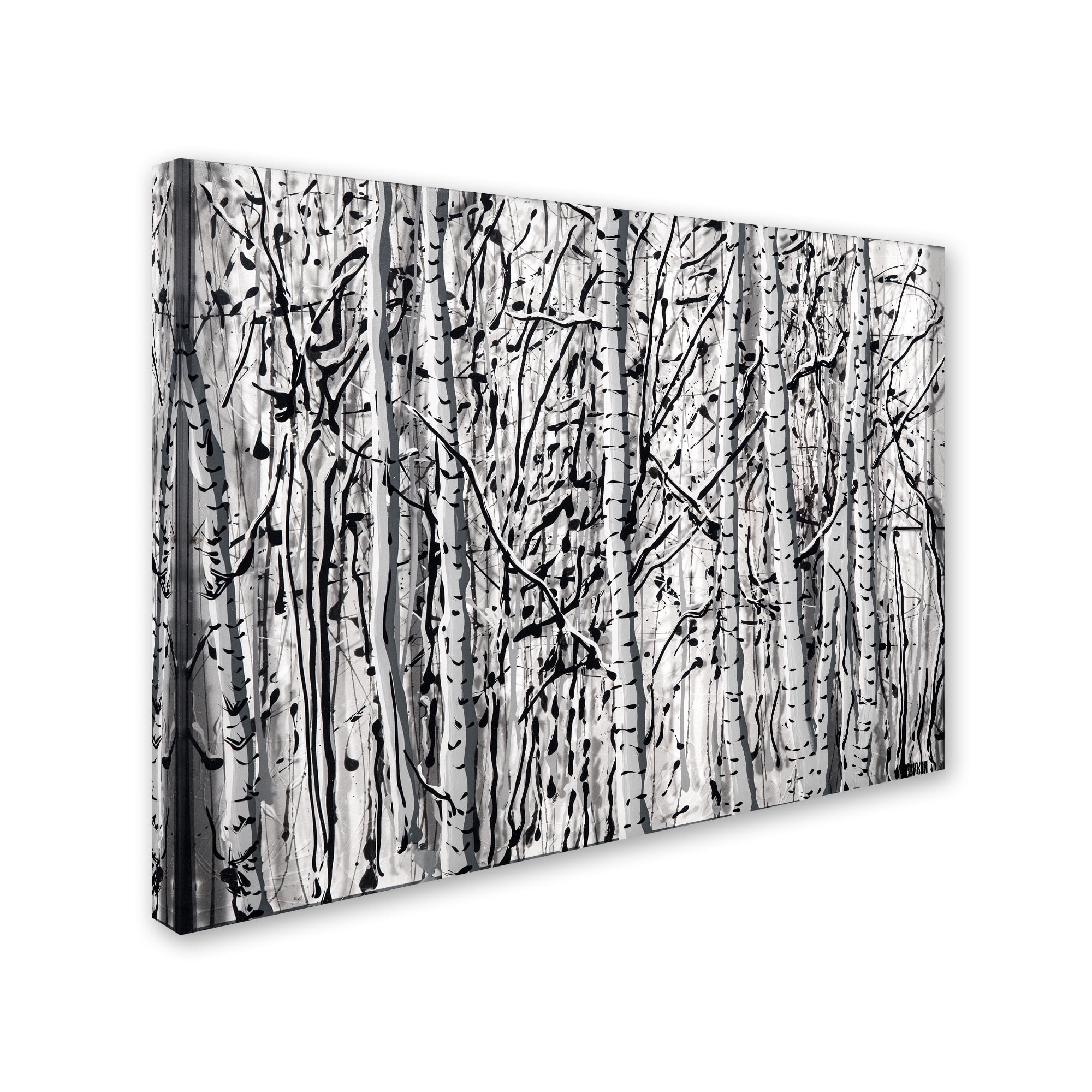 Trademark Fine Art "Winter Aspens" Canvas Art by Roderick Stevens