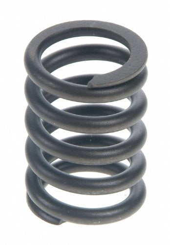 Engine Valve Spring Sealed Power VS-671