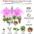 thumbnail image 5 of EILSORRN Grow Lights for Indoor Plants , 5 Heads Grow Lights with Stand Full Spectrum , LED Grow Lights W/ Adjustable Stand, 4/8/12H Timer for All Plants Growing Lamps, 5 of 8
