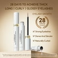 thumbnail image 2 of LANBENA Lash Serum, Rapid Eyelash Growth Serum, Lash Serum for Eyelash Growth Thickness, Stronger, Healthier Lashes & Brows, 4ml, 2 of 9