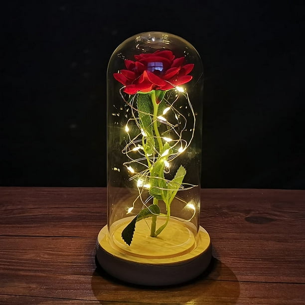 Regalos de flores de rosas para mamá, regalos de cumpleaños para esposa, regalos del día de la madre de rosas para futuras mamás, regalos de flores de rosas artificiales en cúpula de cristal, regalos del día de San Valentín para ella, regalos pensados para el día de la madre a las madres Sincero Electrónica