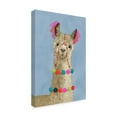 thumbnail image 2 of Trademark Fine Art 'Adorned Llama III' Canvas Art by Victoria Borges, 2 of 4